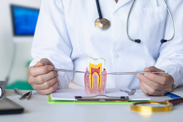 Best Emergency Root Canal Treatment in Shrewsbury, MO